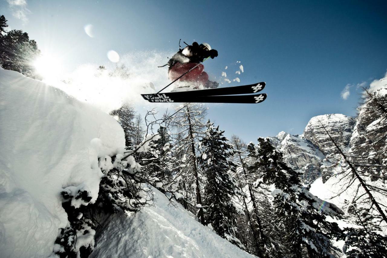 Apartmán Haus Wulfenia Neustift im Stubaital Exteriér fotografie