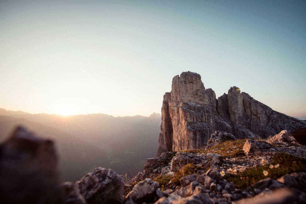 Apartmán Haus Wulfenia Neustift im Stubaital Exteriér fotografie